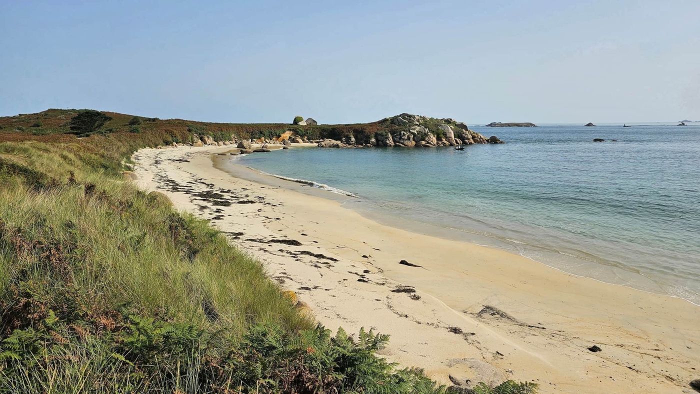 Plage et dune