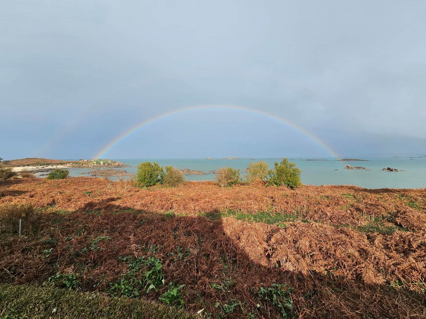 La lande après la pluie