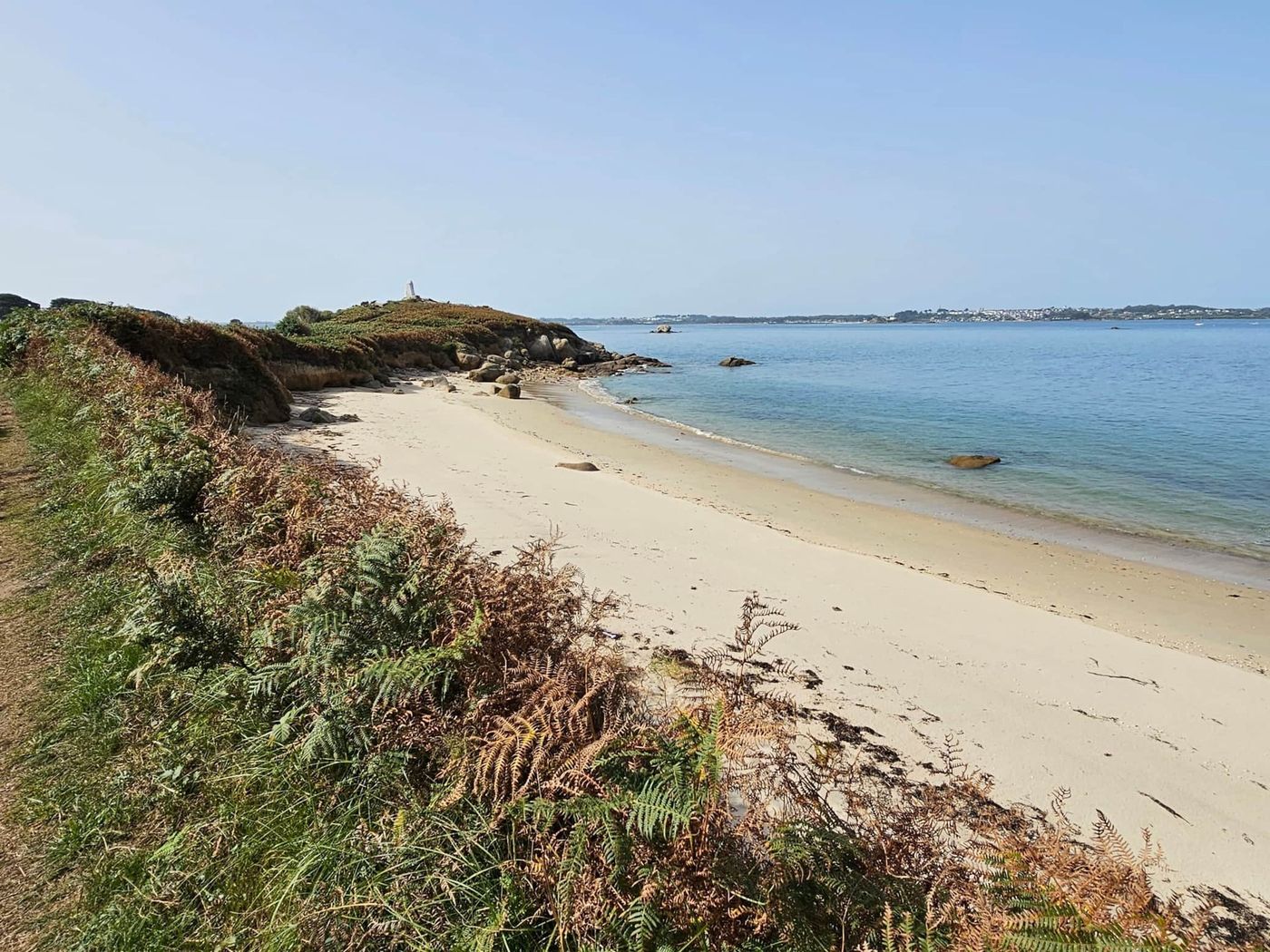 Plage bordée de fougères