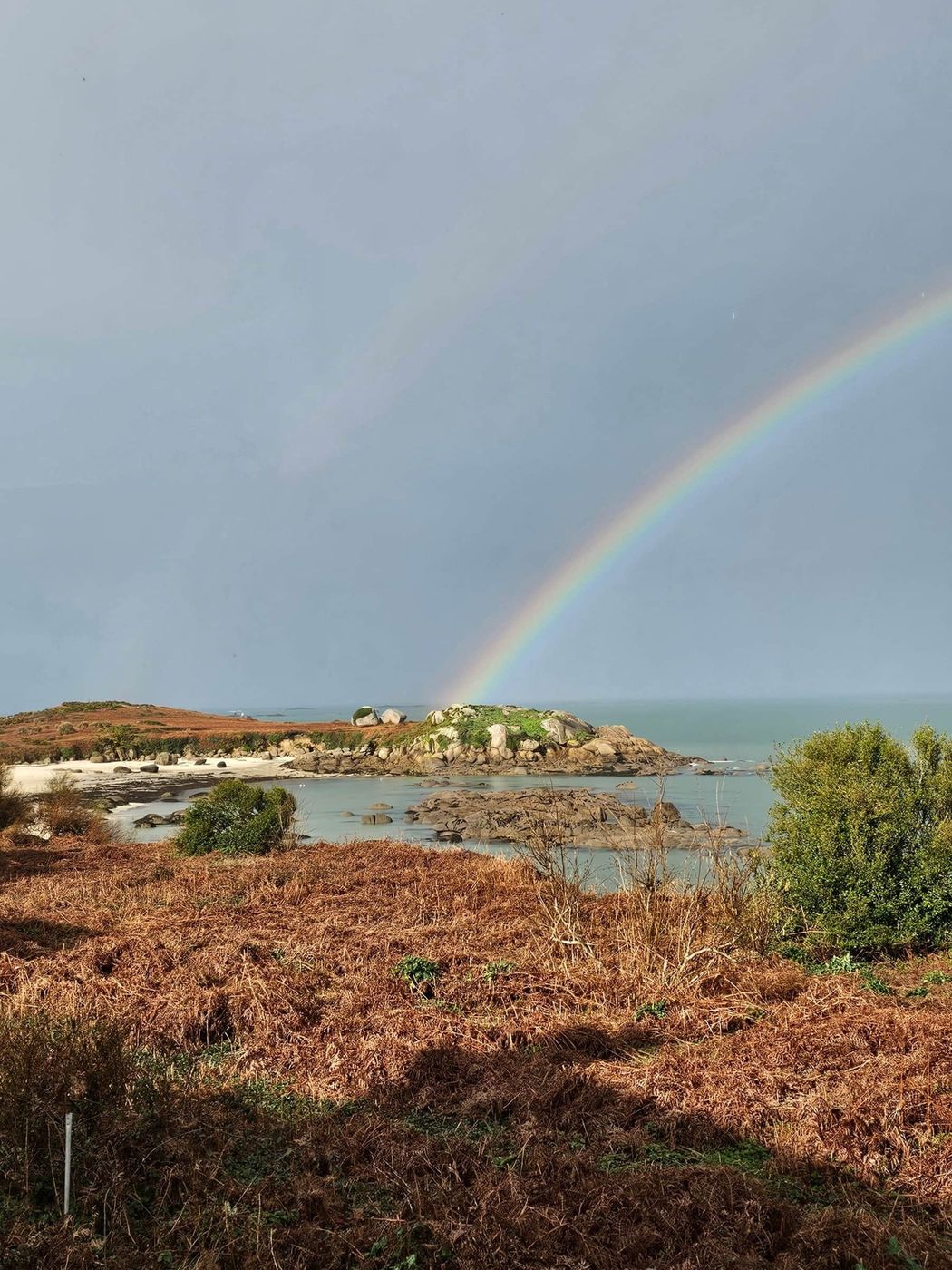 Depuis le champ, après la pluie