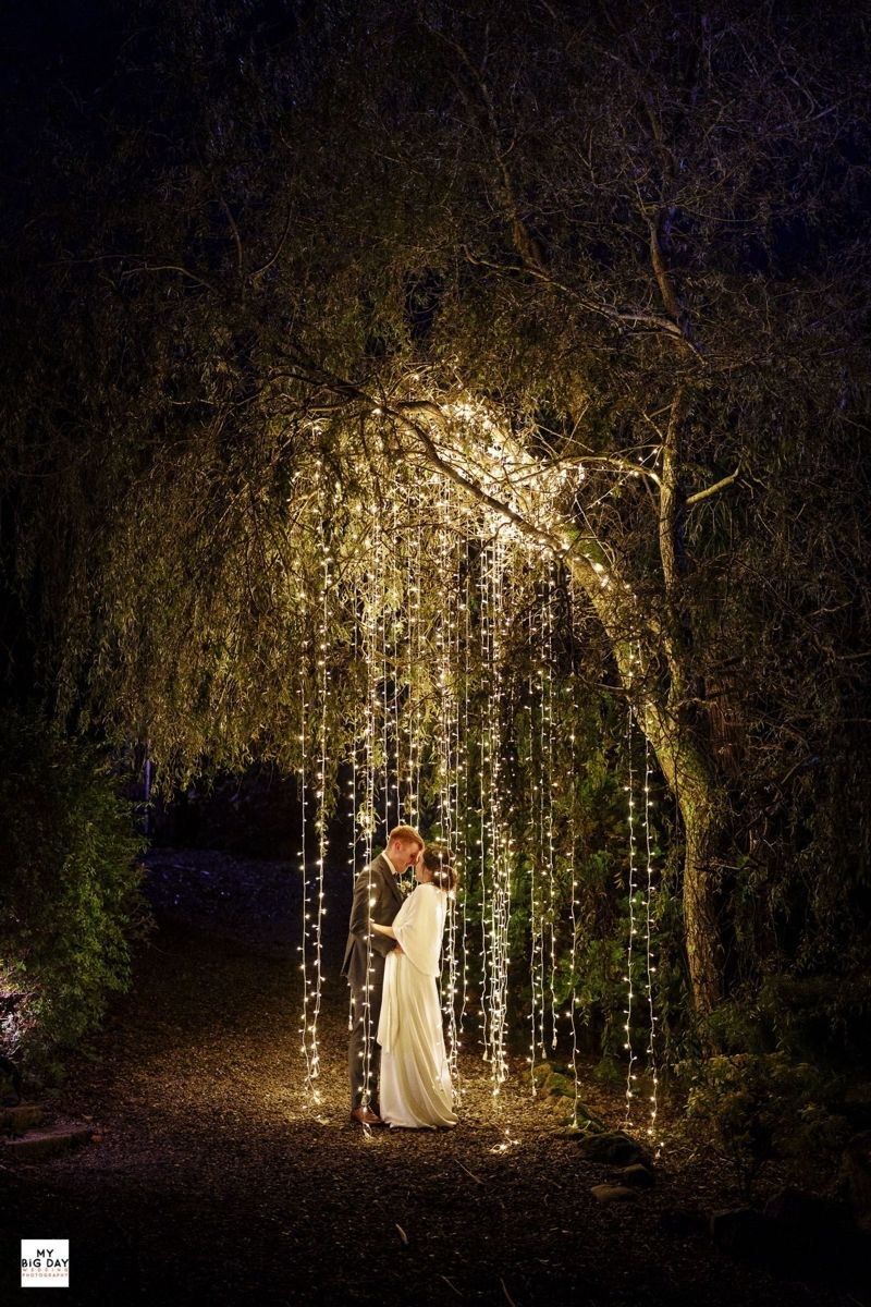Rideaux de lumière descendant des arbres